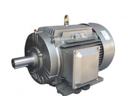 西瑪電機(jī)YE5-355L-10-160KW超高能效IE5一級能效三相異步電動機(jī)